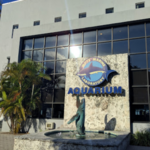 Mote Marine Laboratory & Aquarium