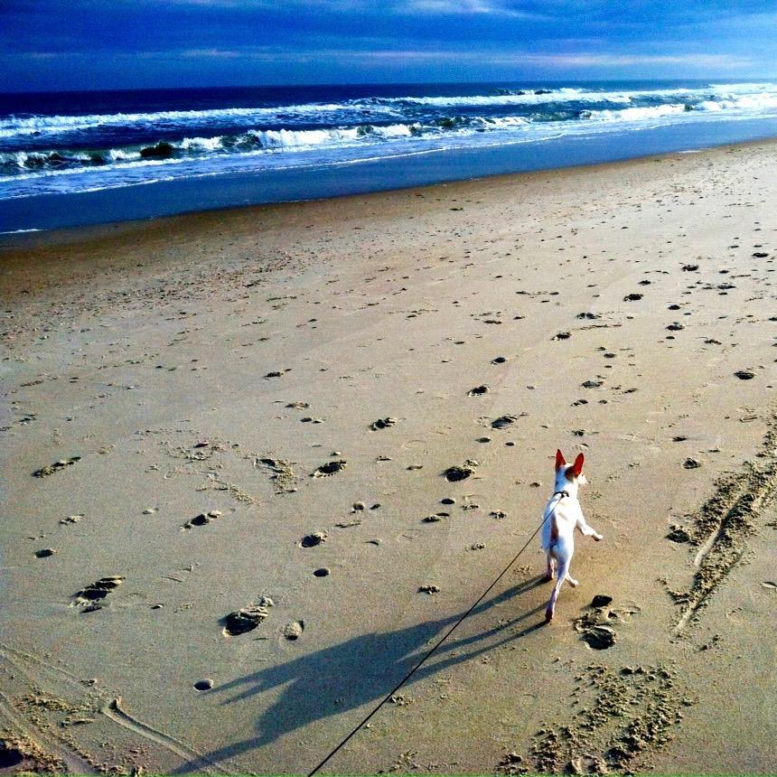 Walking Mickey at Carolina Beach