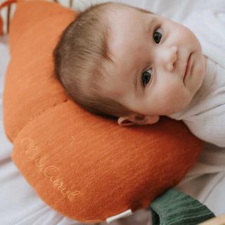 Oli & Carol Cathy the Carrot Knitted Cushion