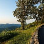 Skyline Drive - Shenandoah National Park