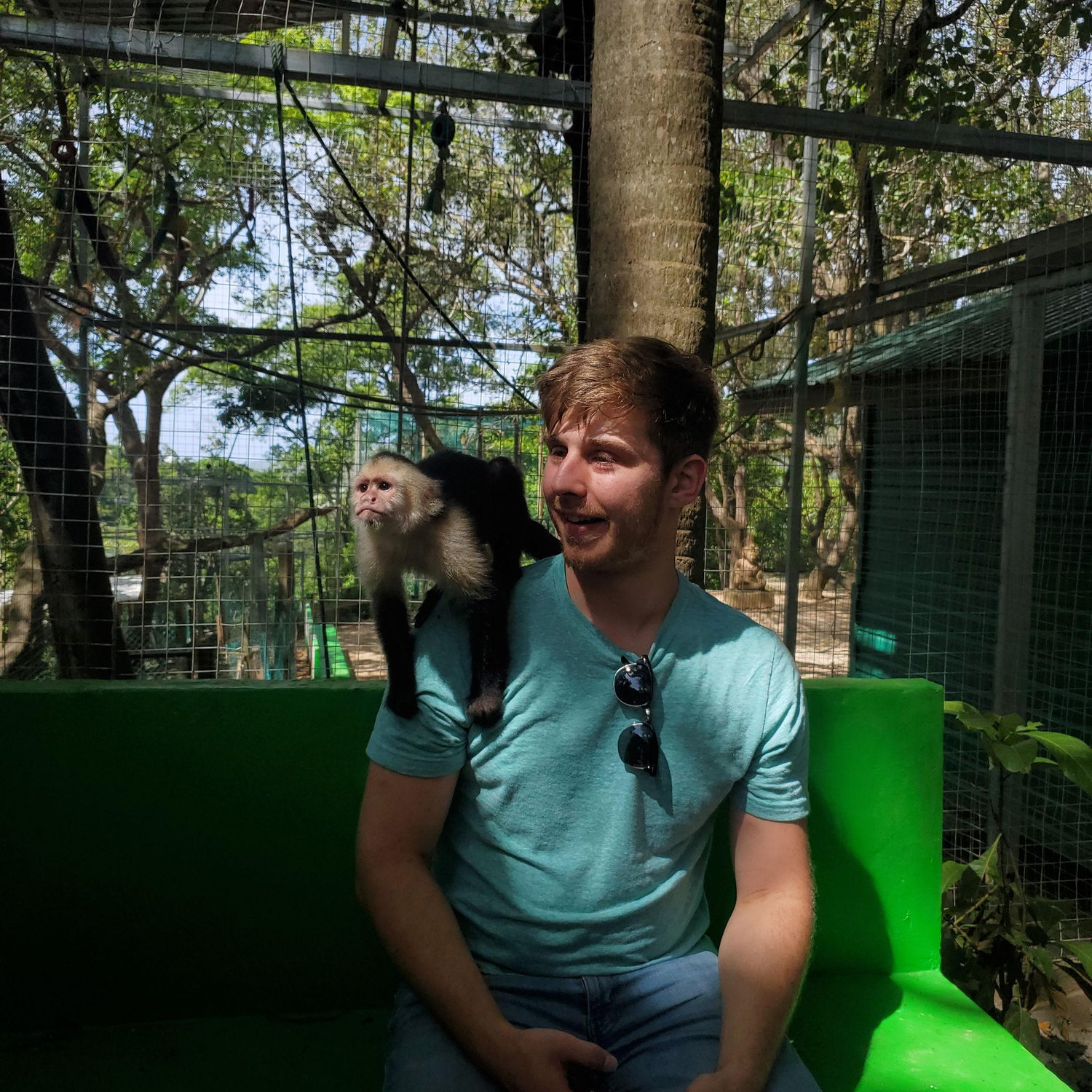Monkey!
