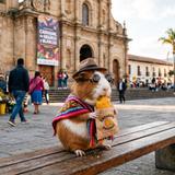Las mejores empanadas del mundo están en el Salón Guadalquivir