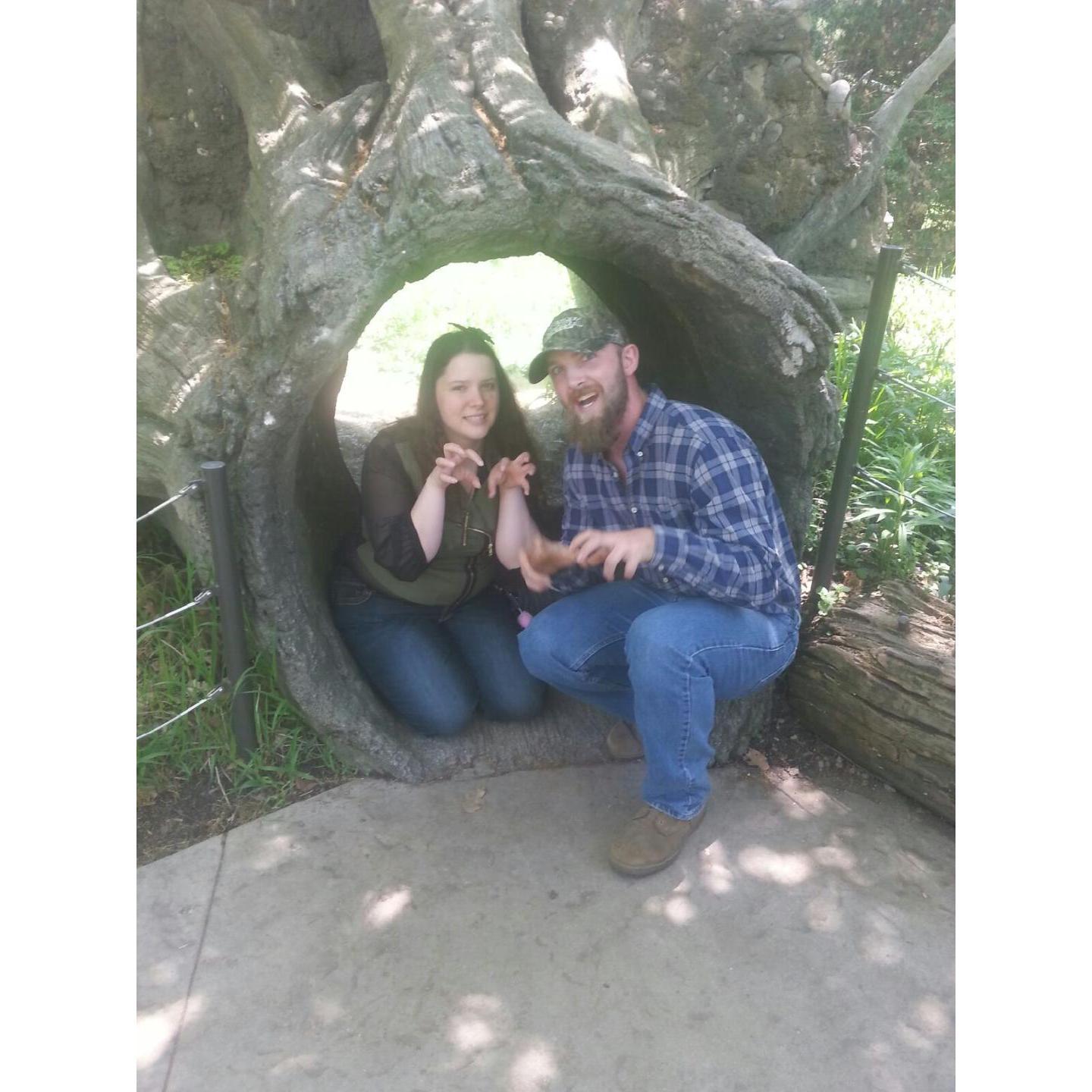 He doesn't like the zoo, but he still goes and pretends to be bears with me!