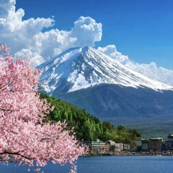 Round Trip Plane Tickets for Honeymoon to Japan