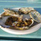 The Jolly Oyster Ventura
