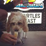 Andy's Frozen Custard