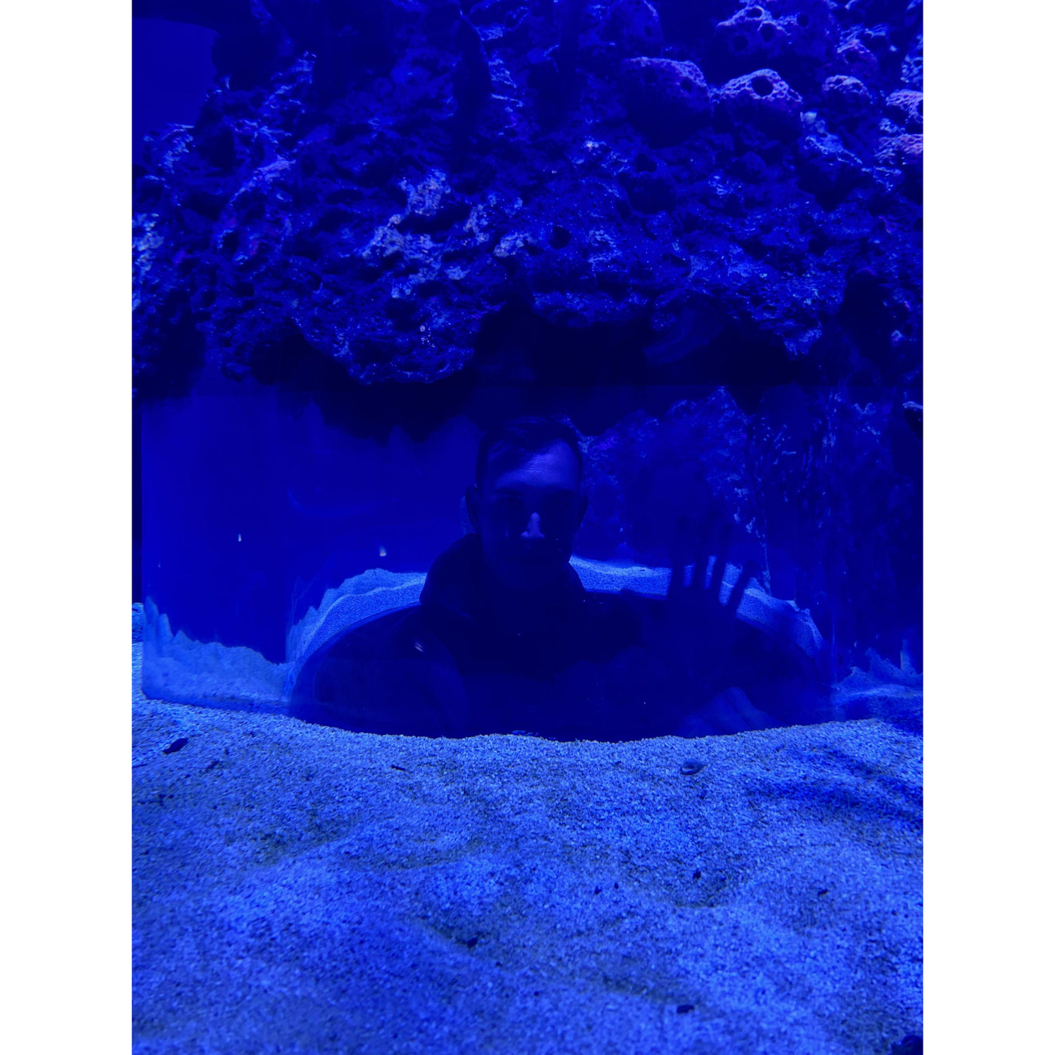 Aidan in a tank!