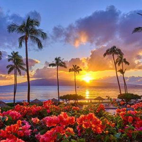 Our Honeymoon in Hawaii