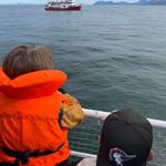 Whale Watching from Hyannis Port