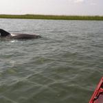Charleston Outdoor Adventures