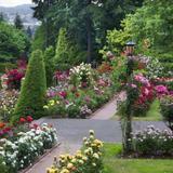 International Rose Test Garden