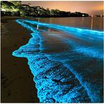 Luminous Lagoon Glistening Waters