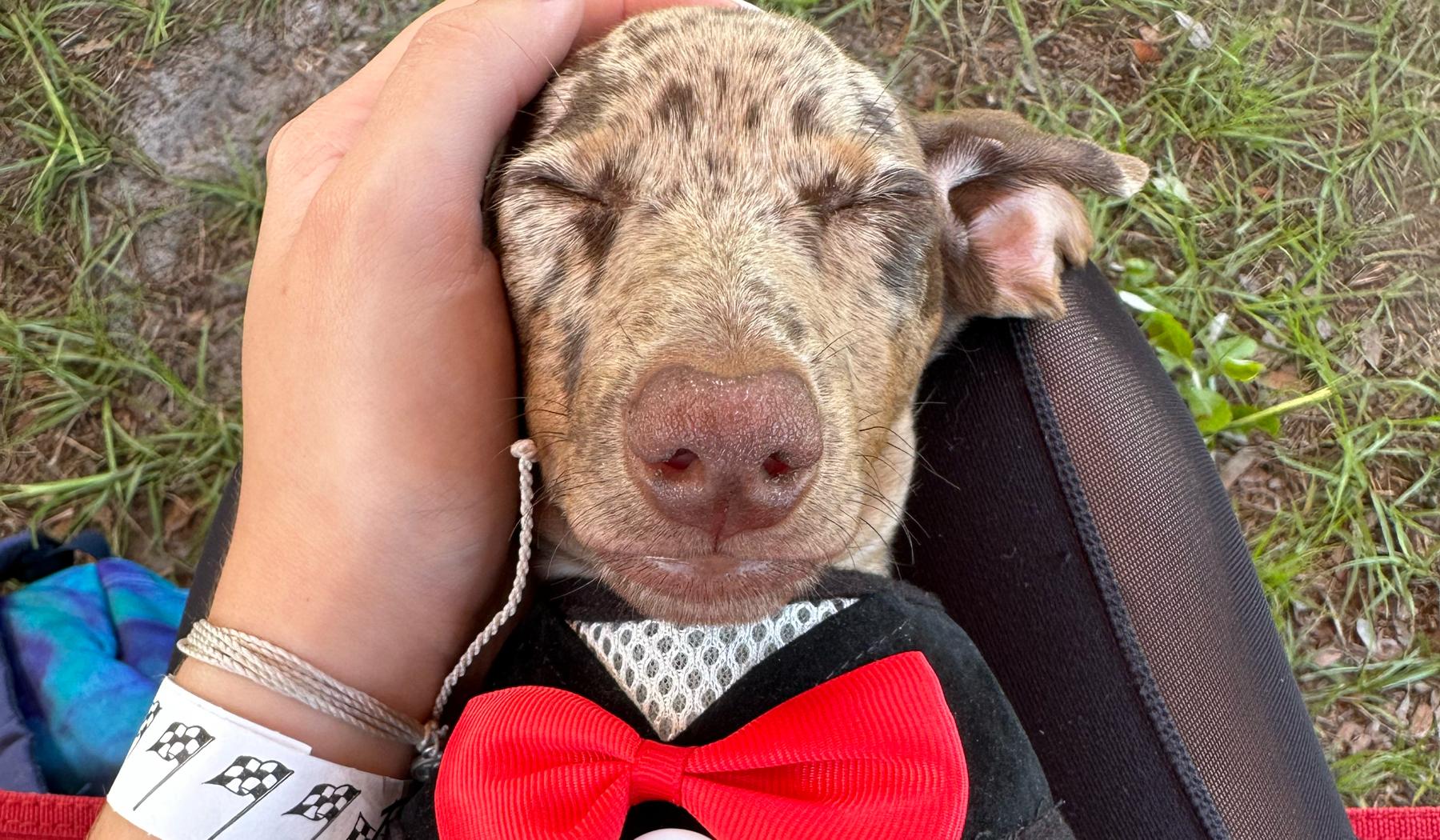 The Wedding Website of Madison Shoaf and Tre Warner