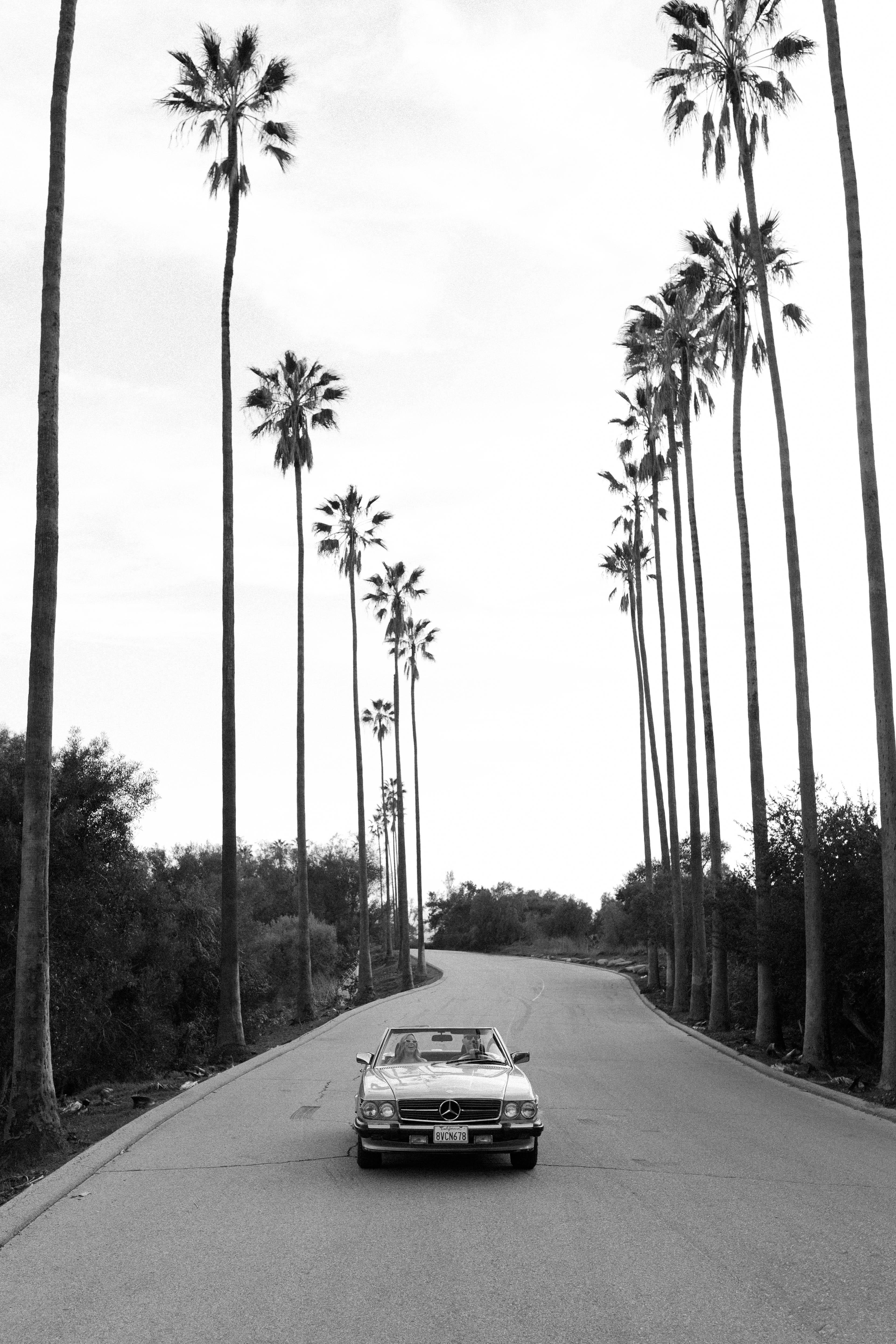 The Wedding Website of Emily Dial and Eugene Gold