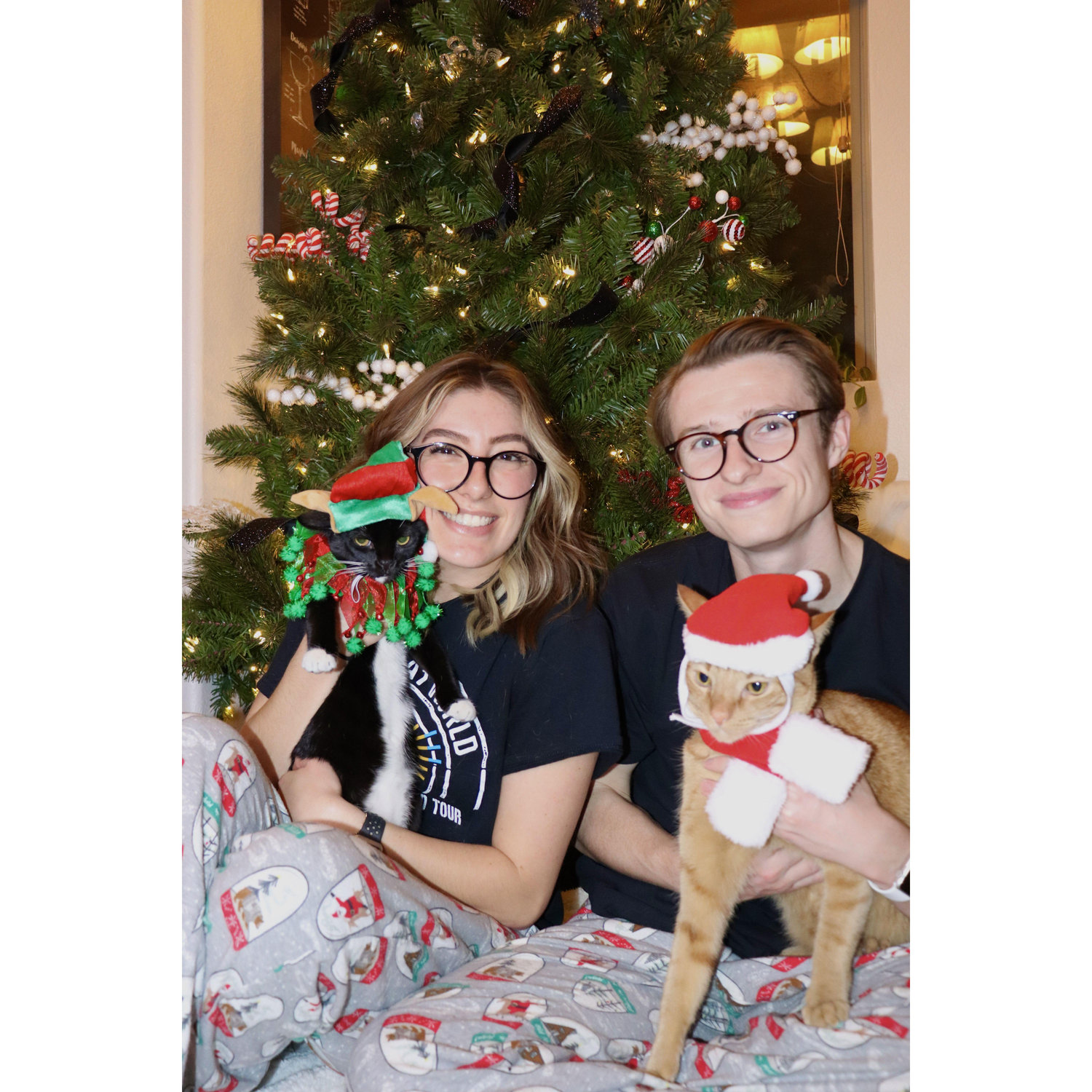 The first Christmas with both the cats and they were not happy to be dressed up. December 2022.