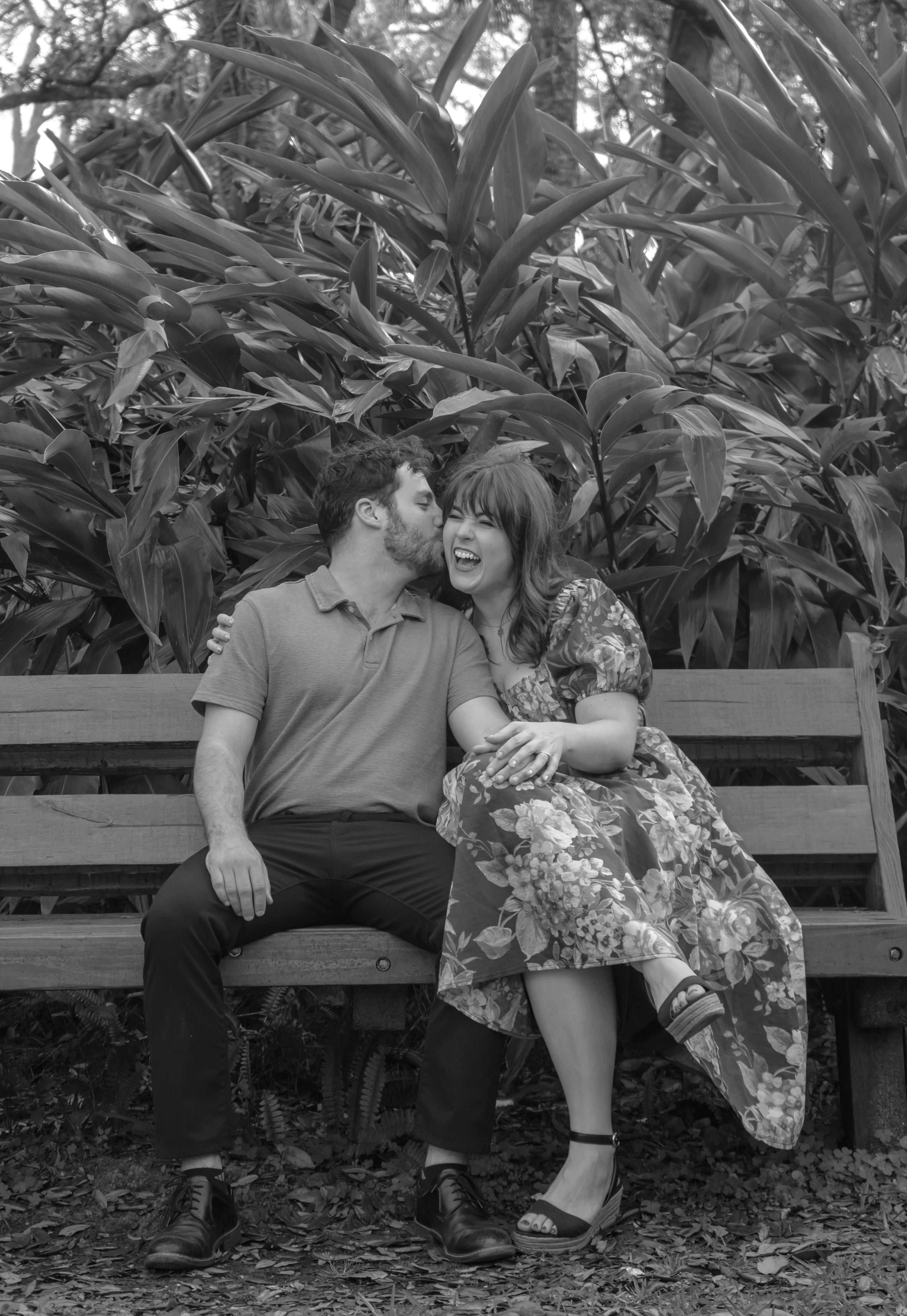 36bcdb76-e5bd-4223-9698-f7454b8831a4