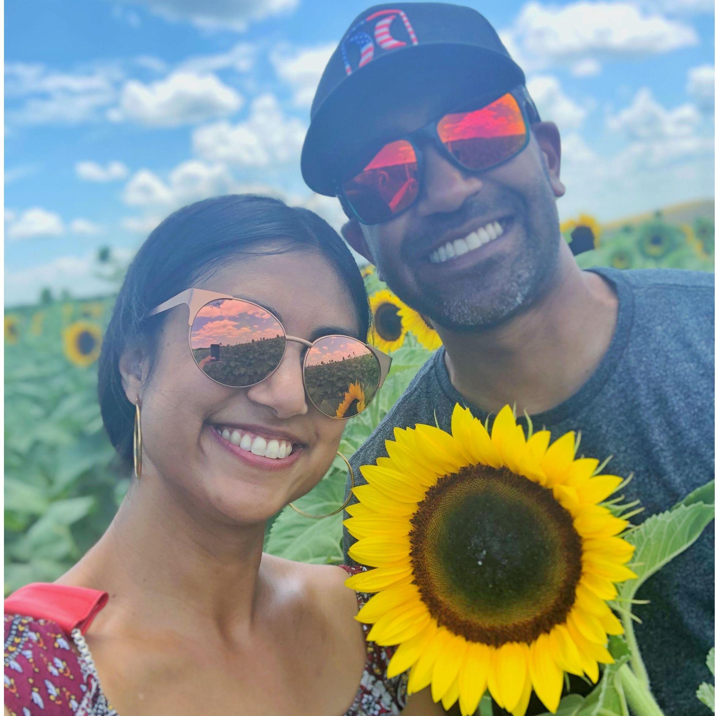 The sunflower doesn't shine as bright as us!