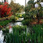 Norfolk Botanical Garden