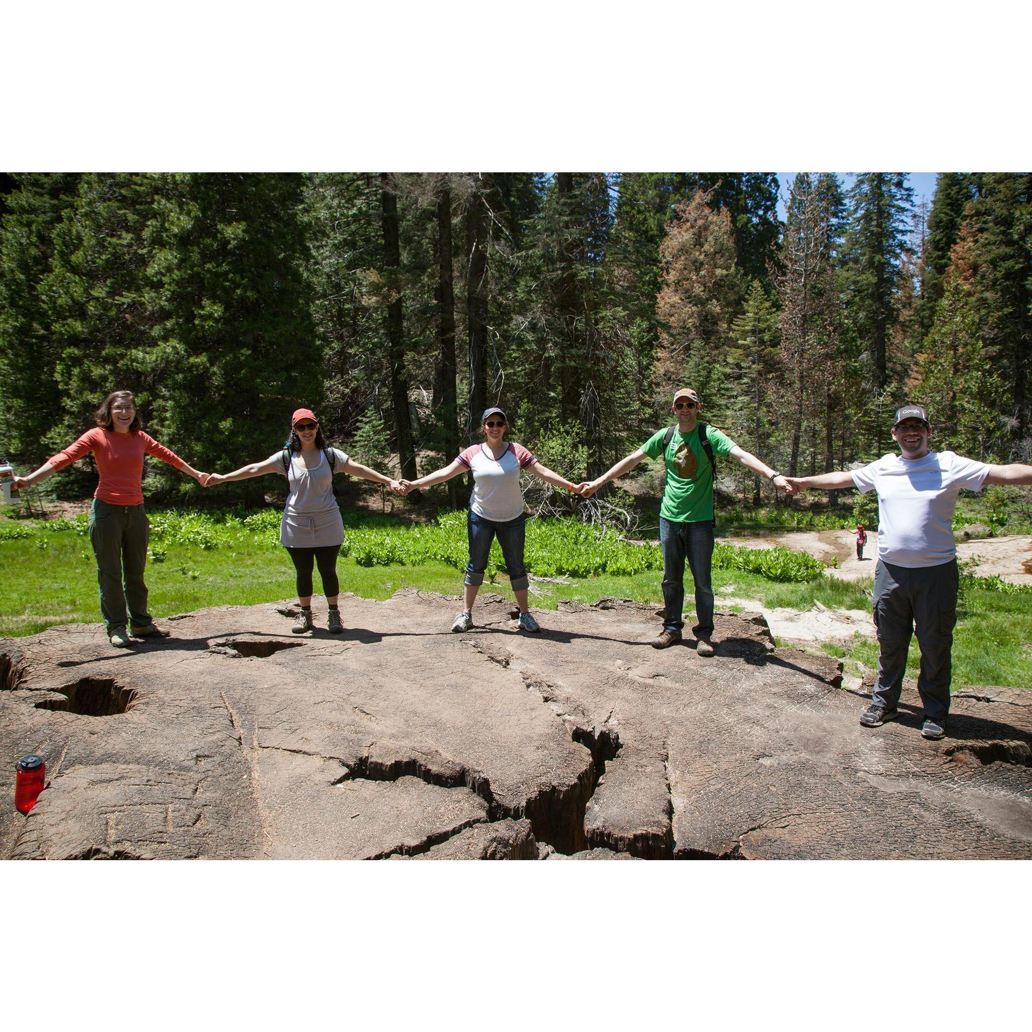 Sequoia! With Maya, Benj, Allison, and Jon is taking the picture