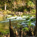 Hillsborough River State Park
