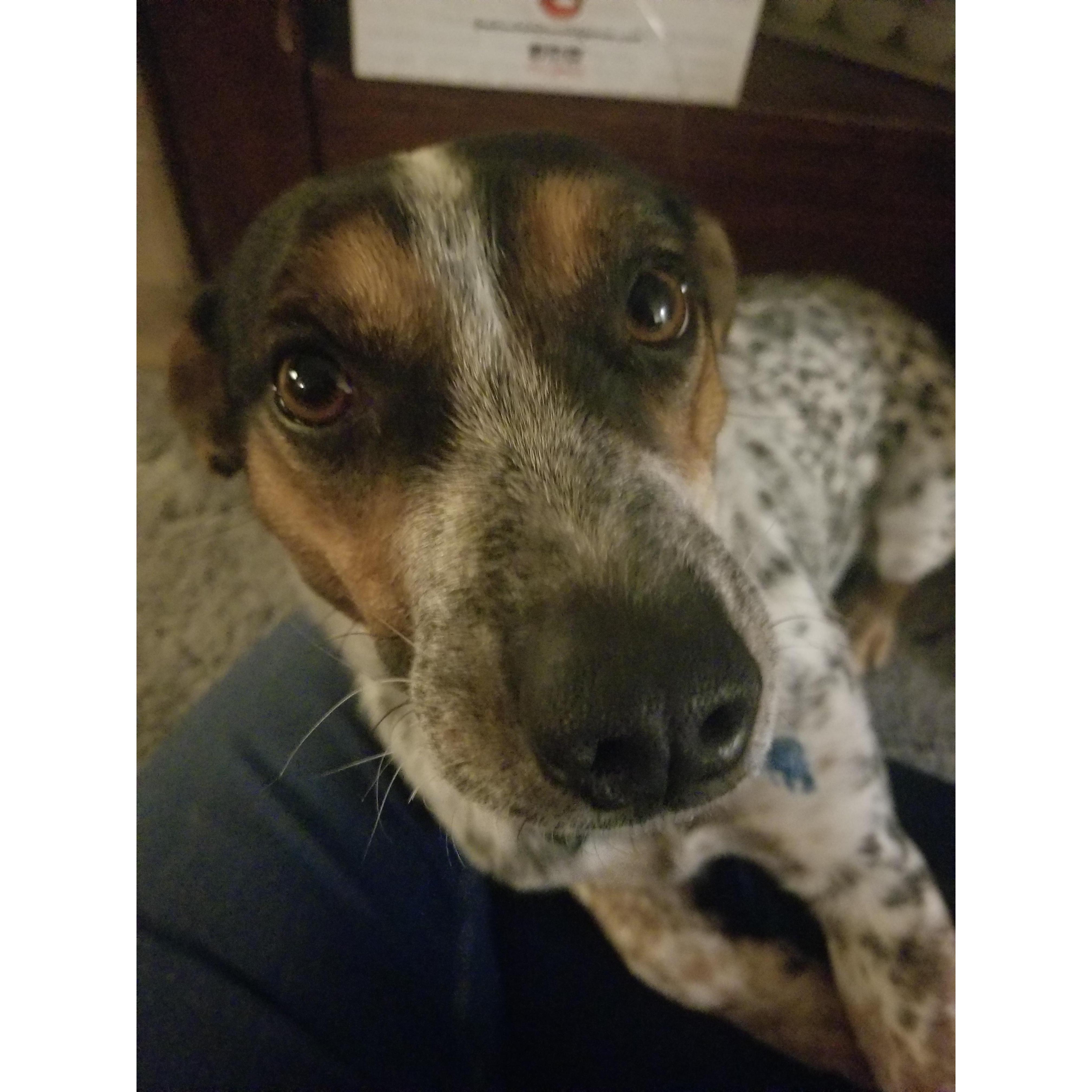 Give me attention!