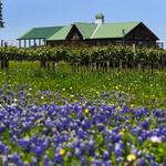 Pleasant Hill Winery