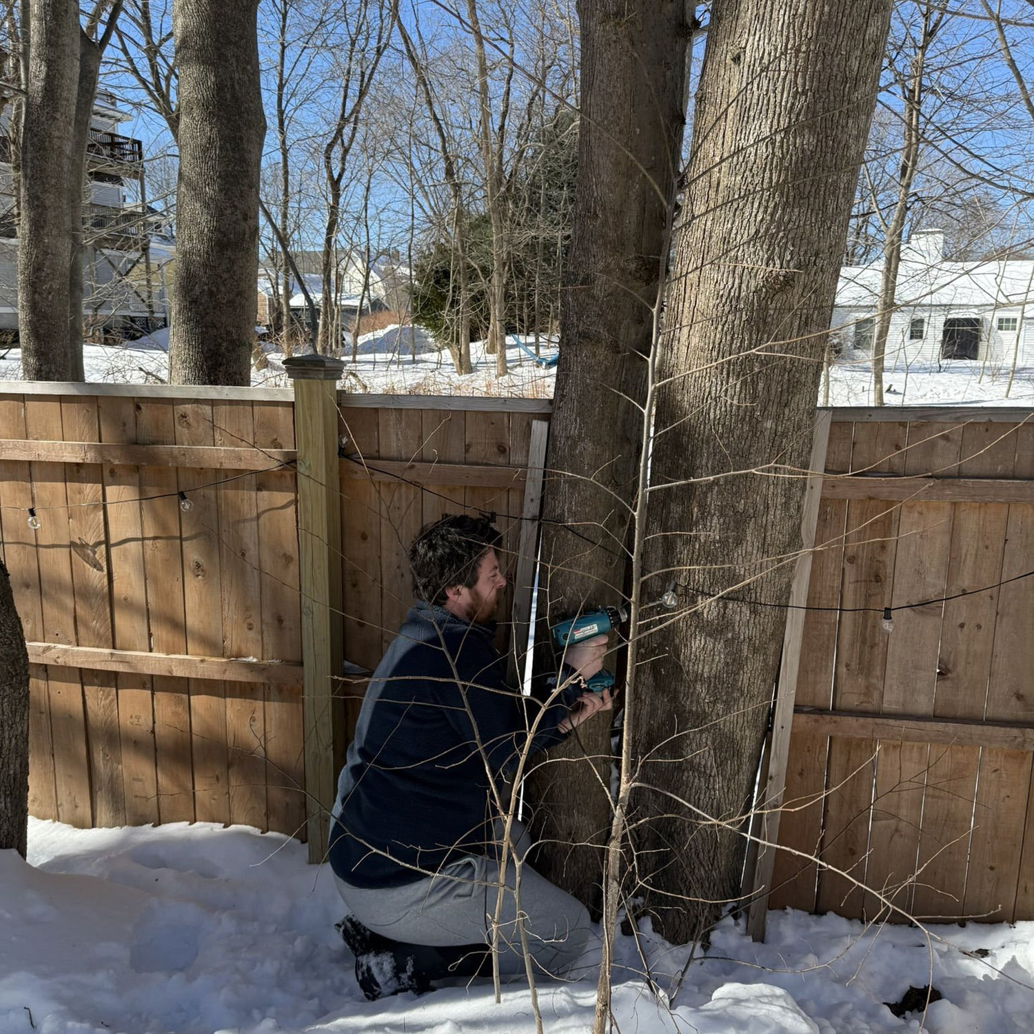 Andrew tapping the trees to make his homemade maple syrup