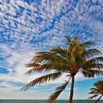 Bal Harbour Shops