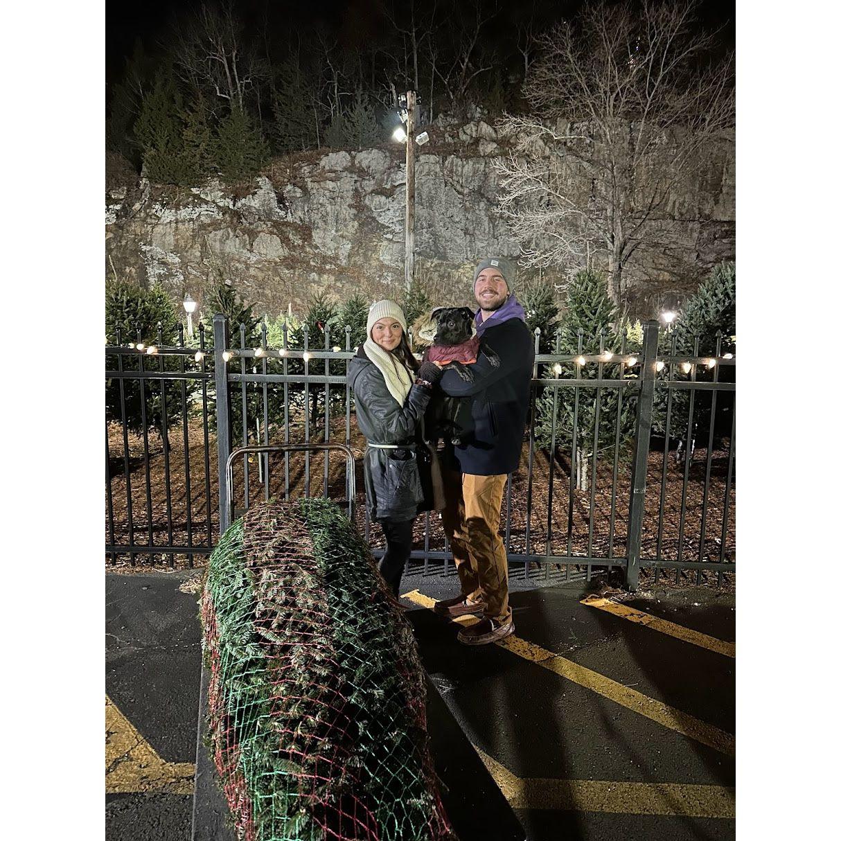 Annual Mahoney's Christmas Tree Haul (2023)