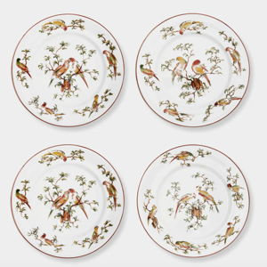 Abask Set of 4 | Pappagallini Ceramic Dinner Plates