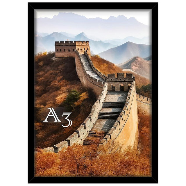 Picrit A3 Frame, Picture Frame for Wall Mounting Display, Black