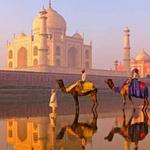 North India (7 Days)