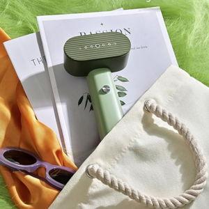 G6 Steamer for Clothes Portable - green