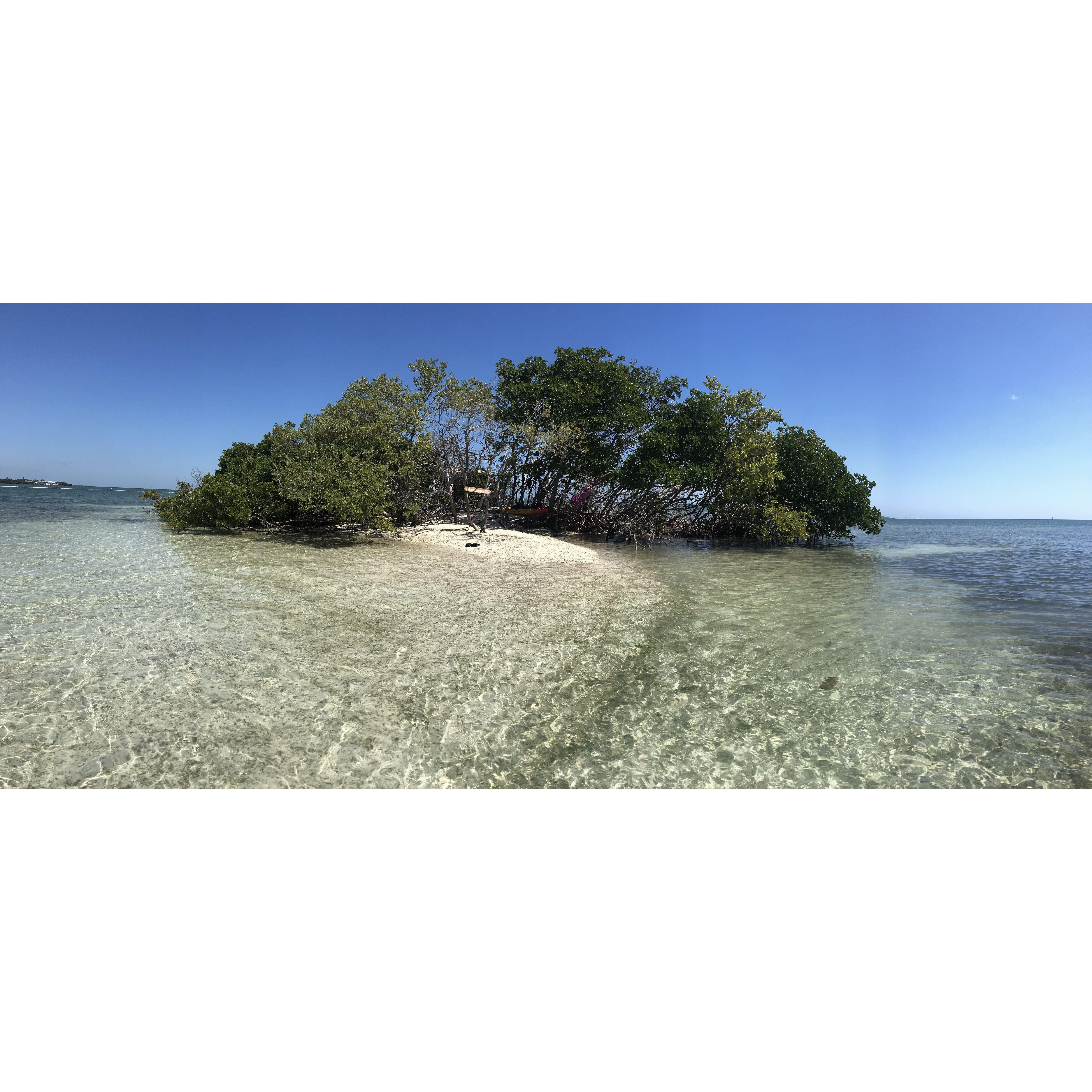 'Our Island' you can paddle here from paddle the keys- our name is carved in the tree!