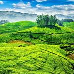 Munnar