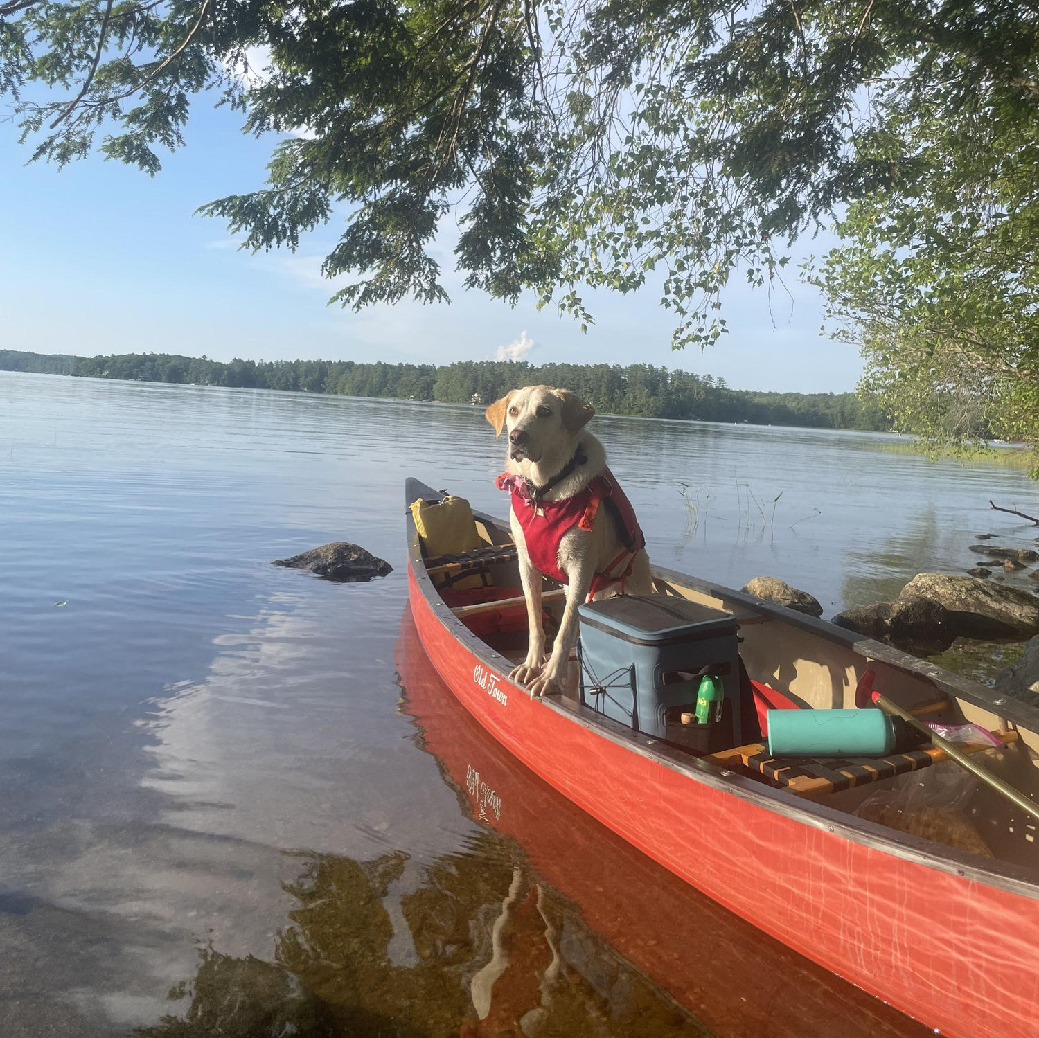 Moe at Highland Lake on the 1 year anniversary of when we met July 2!