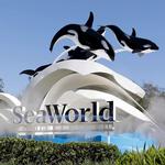 SeaWorld Orlando