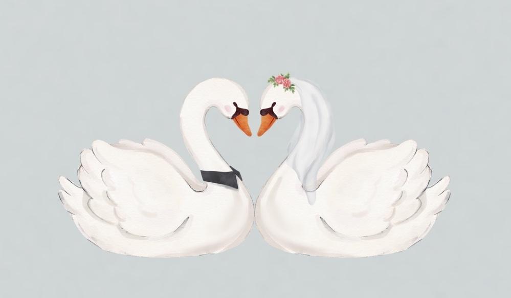 The Wedding Website of Jorge Vazquez and Gabriela Verdin