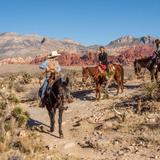 Cowboy Trail Rides