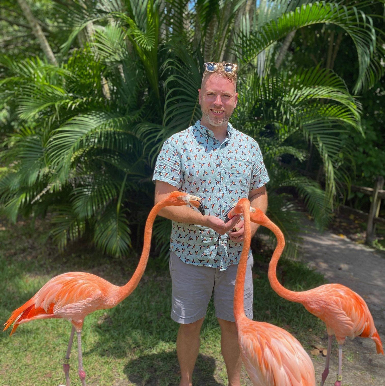 Chris in his element lol