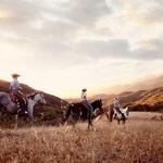 Ojai Valley Trail Riding Company