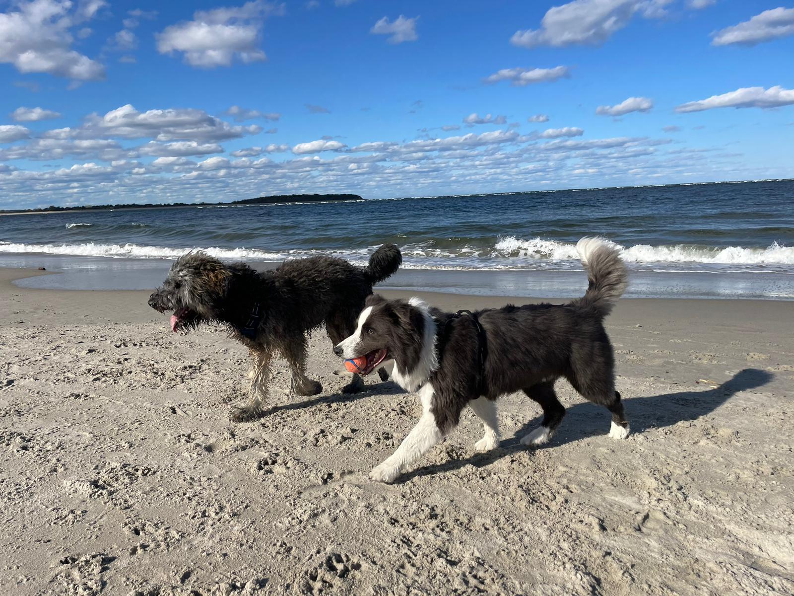 The Wedding Website of Kathryn Mary Fahey and Connor Raymond Smith