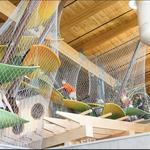 Scott Family Amazeum