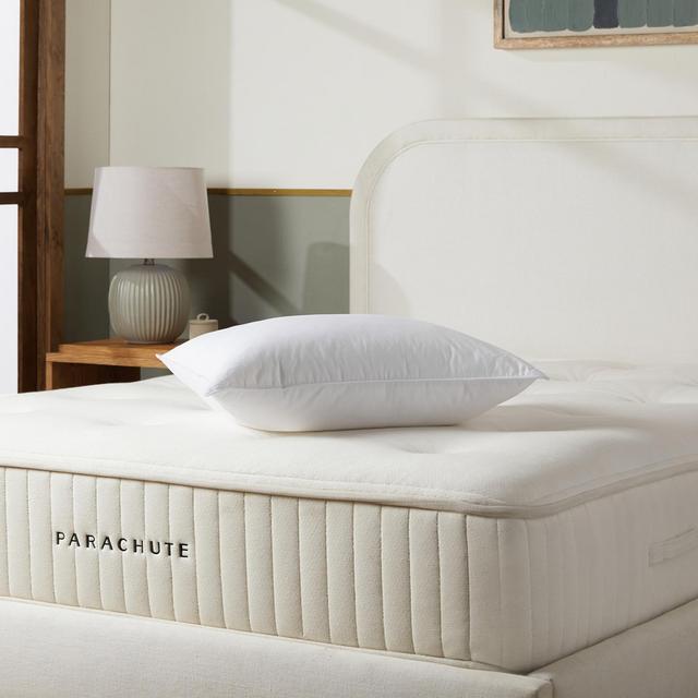 Parachute, Down Pillow, Standard Size