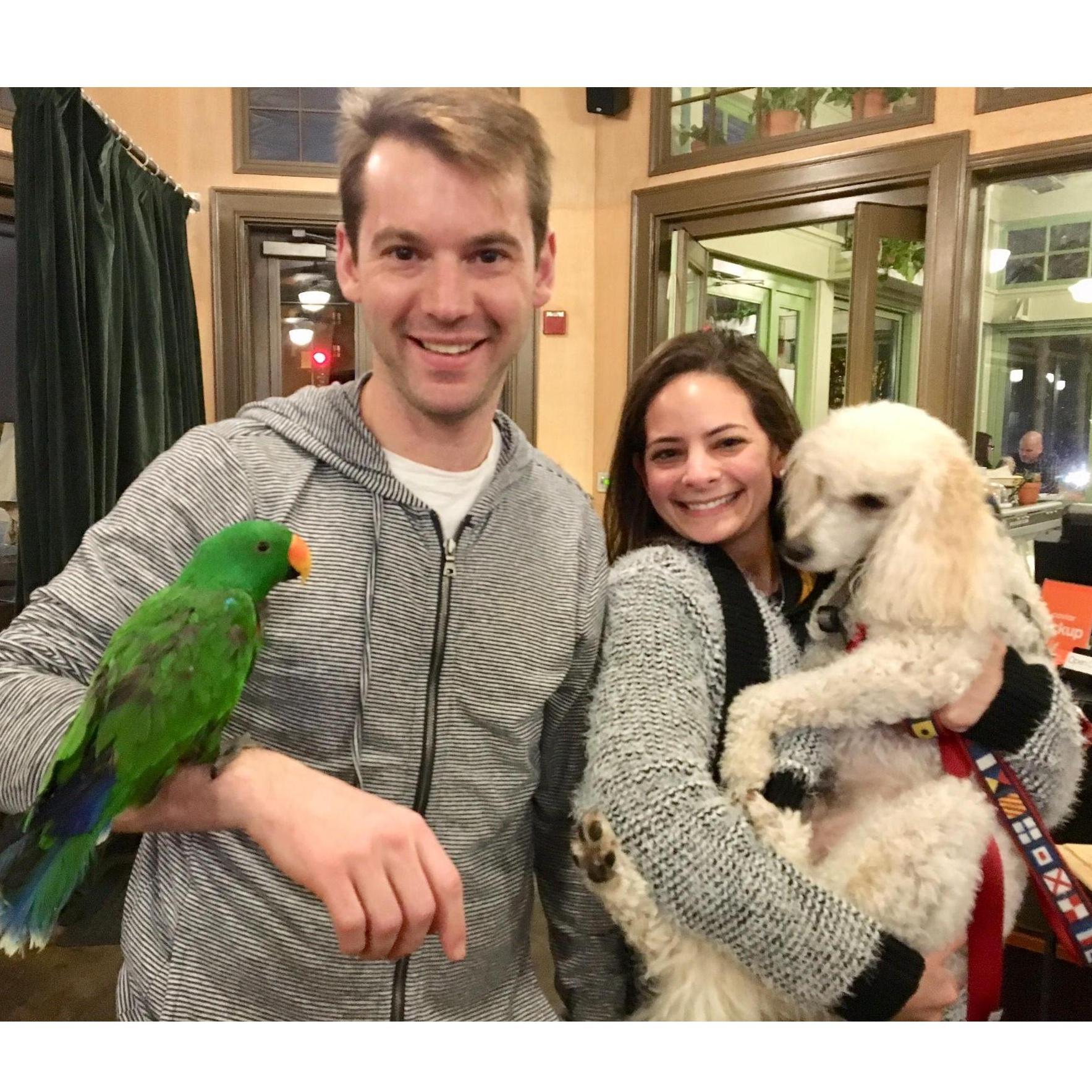 One of our first pictures together at Open City in our old neighborhood of Woodley Park
Dog: Erik Hopkins
Bird: Mellow of Woodley