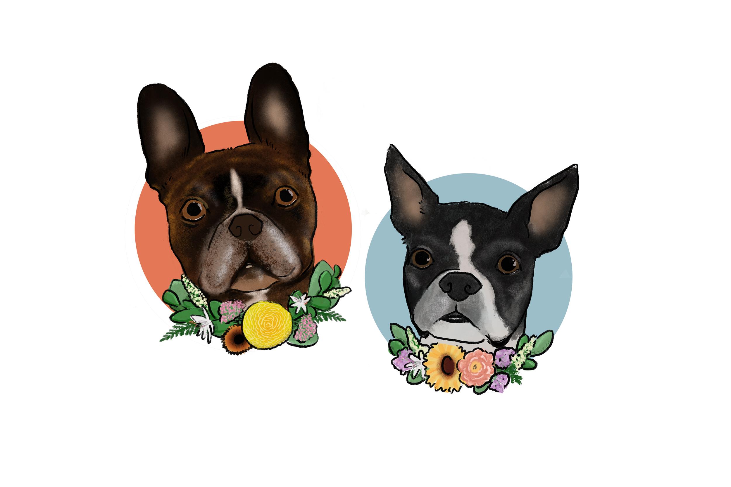 The Wedding Website of Samantha Laffey and Nathan Shaulis