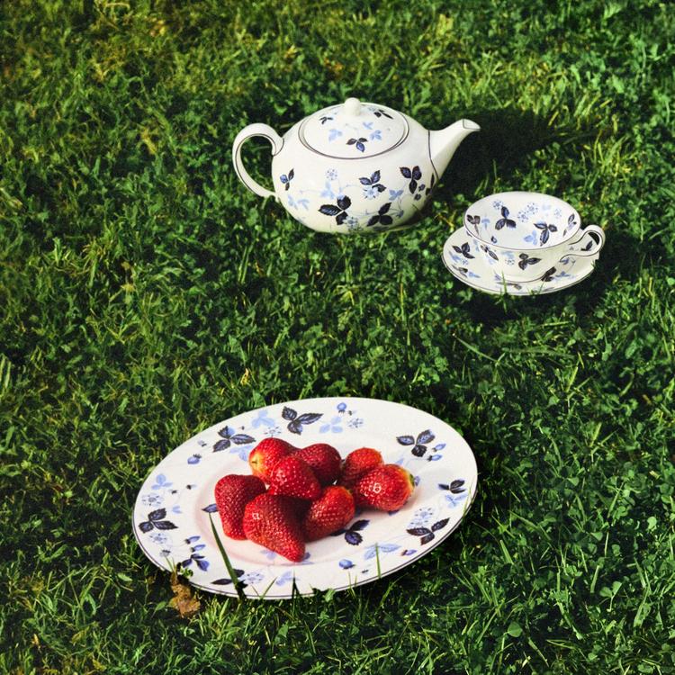  WILD STRAWBERRY 小皿 5枚セット Wedgwood Wild Strawberry 5-Piece Place Setting | Dillard's