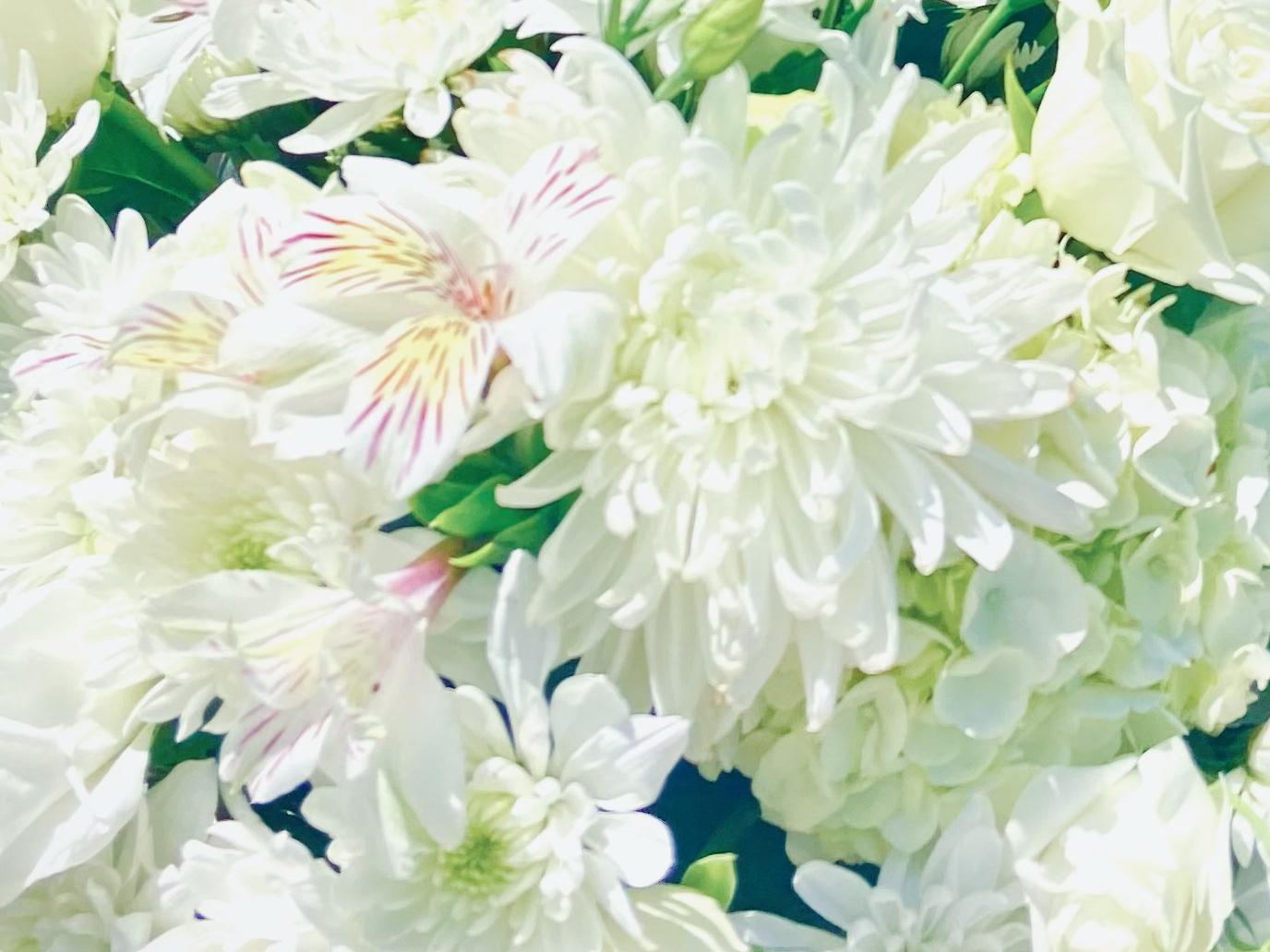 The Wedding Website of Alexandra Black and Jacob Spano