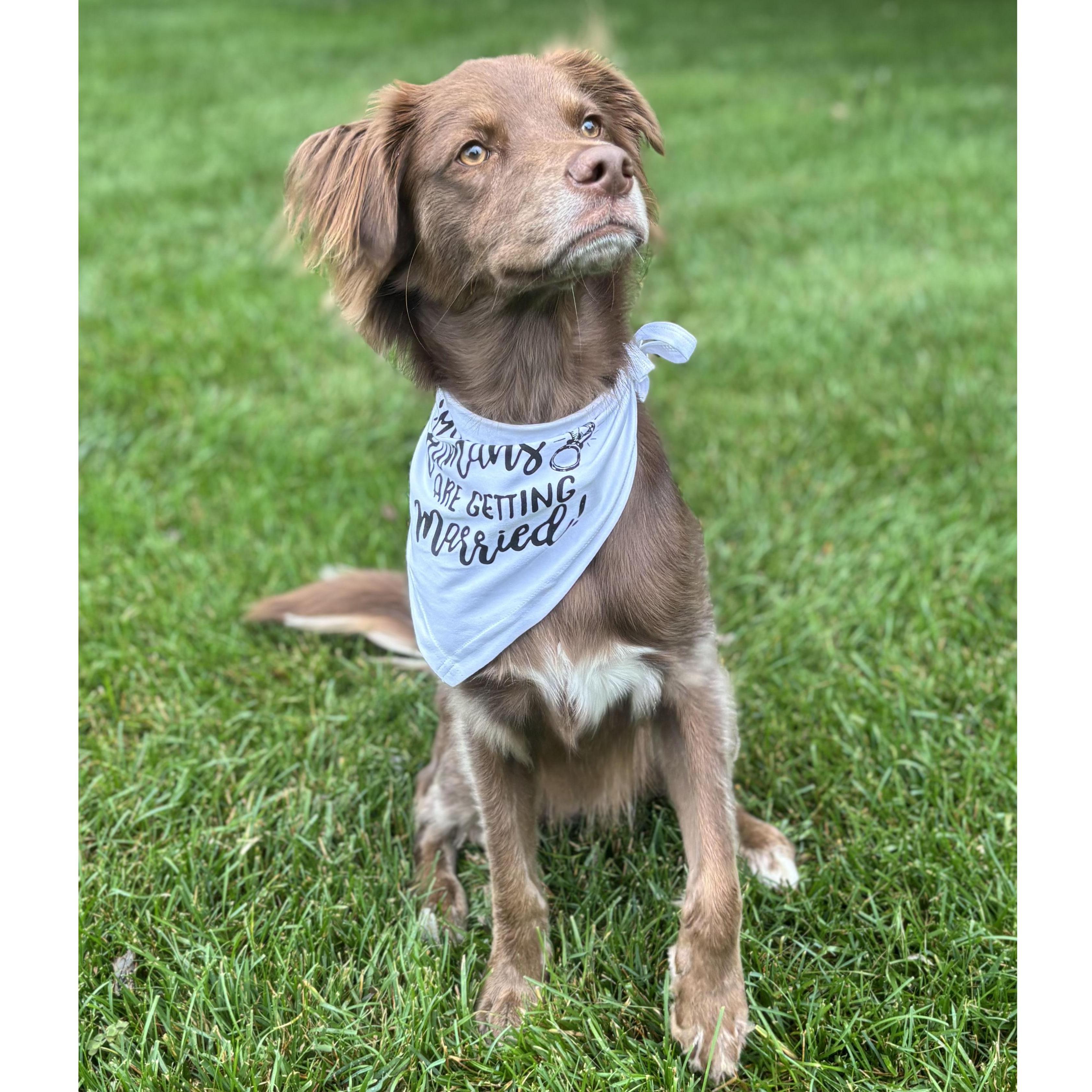 A Sadie pic has to be included, right?