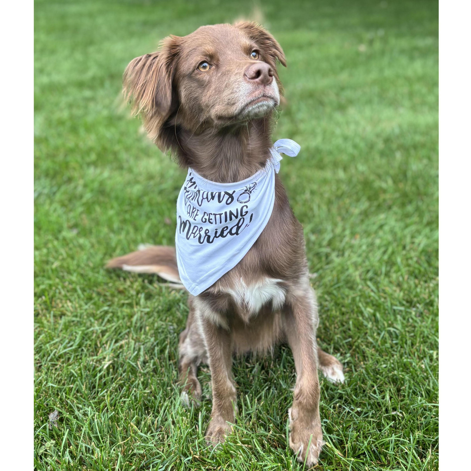 A Sadie pic has to be included, right?